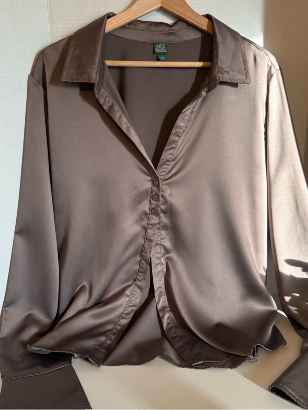 Wild Fable Women's Brown Satin Blouse